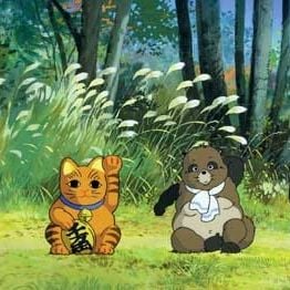 Foto La guerra de los mapaches