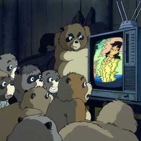 Foto La guerra de los mapaches