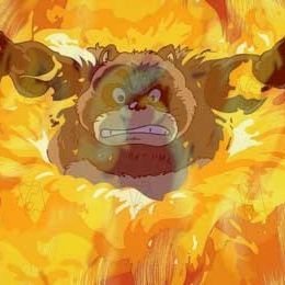 Foto La guerra de los mapaches