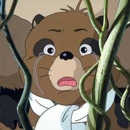 Foto La guerra de los mapaches