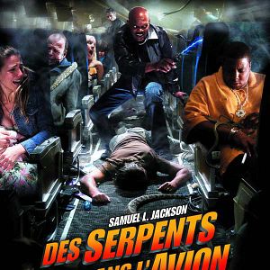 Foto Serpientes a bordo