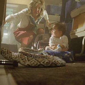 Foto Serpientes a bordo