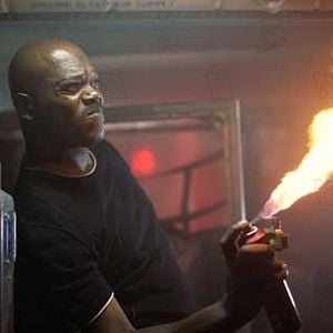 Foto Serpientes a bordo