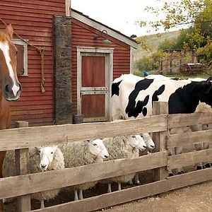 Foto La telaraña de Charlotte