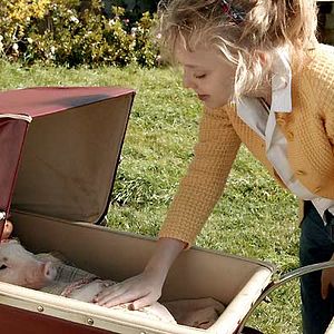 Foto La telaraña de Charlotte