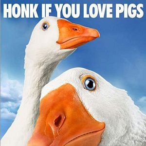 Foto La telaraña de Charlotte