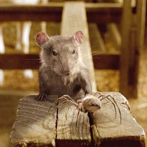 Foto La telaraña de Charlotte