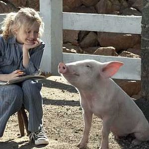 Foto La telaraña de Charlotte