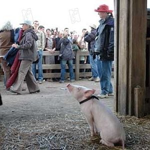 Foto La telaraña de Charlotte