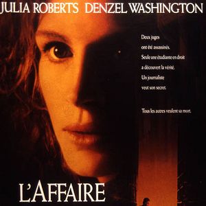 Foto El informe Pelícano,