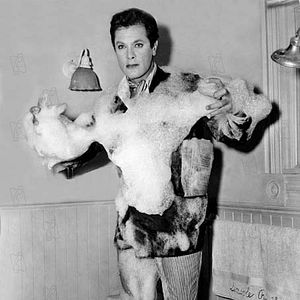 Foto Con faldas y a lo loco