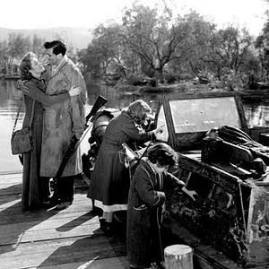 Foto Rosa de abolengo