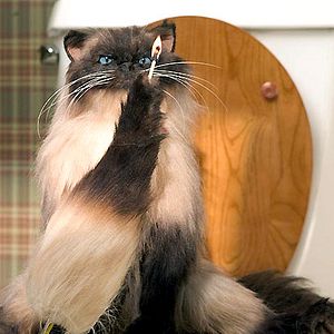 Foto No es otra tonta película de amor