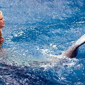 Foto Mi amiga la sirena