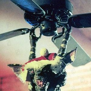 Foto Gremlins