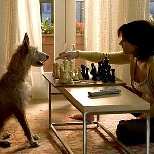 Foto La casa del lago