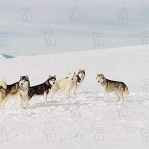 Foto Rescate en la Antártida