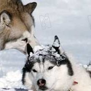 Foto Rescate en la Antártida