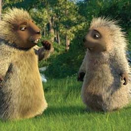 Foto Vecinos invasores