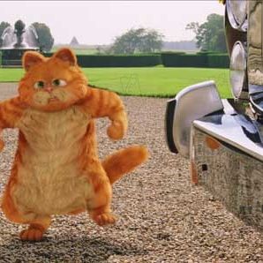 Foto Garfield 2