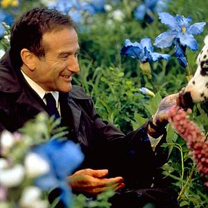 Foto Más allá de los sueños