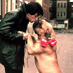 Rocky - Película 1976.mx
