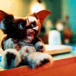 Foto Gremlins 2: La nueva generación