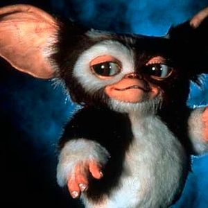 Foto Gremlins 2: La nueva generación