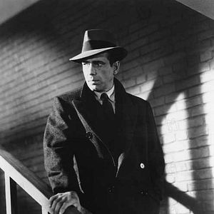 Foto El halcón maltés