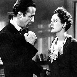 Foto El halcón maltés