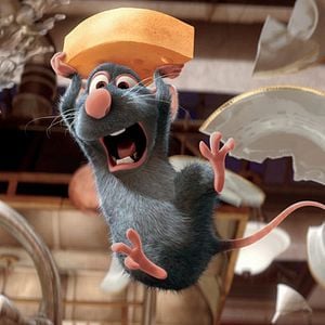Foto Ratatouille