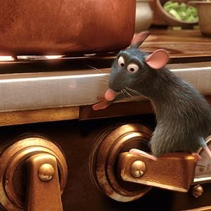 Foto Ratatouille
