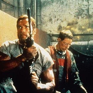 Foto El sobreviviente