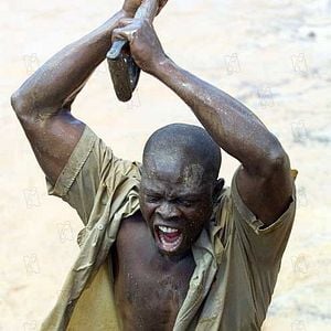 Foto Djimon Hounsou