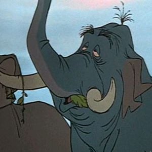 Foto El libro de la selva