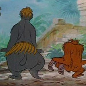 Foto El libro de la selva