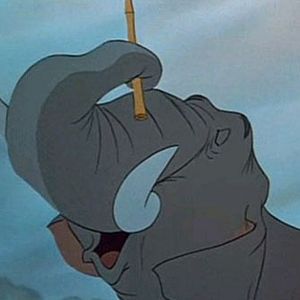 Foto El libro de la selva