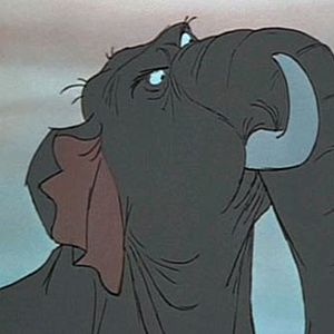 Foto El libro de la selva