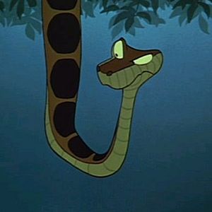 Foto El libro de la selva