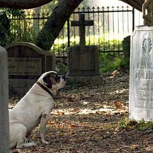 Foto Joel Schumacher