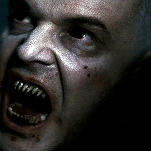 Foto 30 días de noche