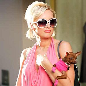 Foto Una loca película épica