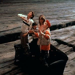 Foto Querida, encogí a los niños