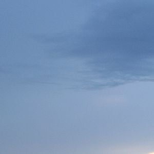 Foto Sin lugar para los débiles