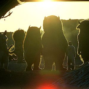 Foto Donde viven los monstruos