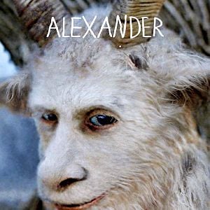 Foto Donde viven los monstruos