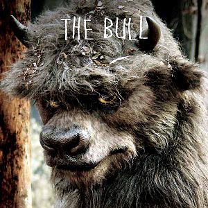 Foto Donde viven los monstruos