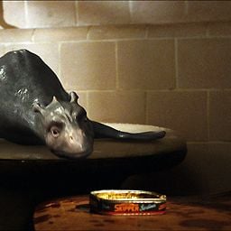 Foto Mi mascota es un monstruo