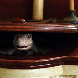 Foto Mi mascota es un monstruo