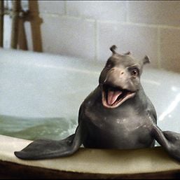 Foto Mi mascota es un monstruo